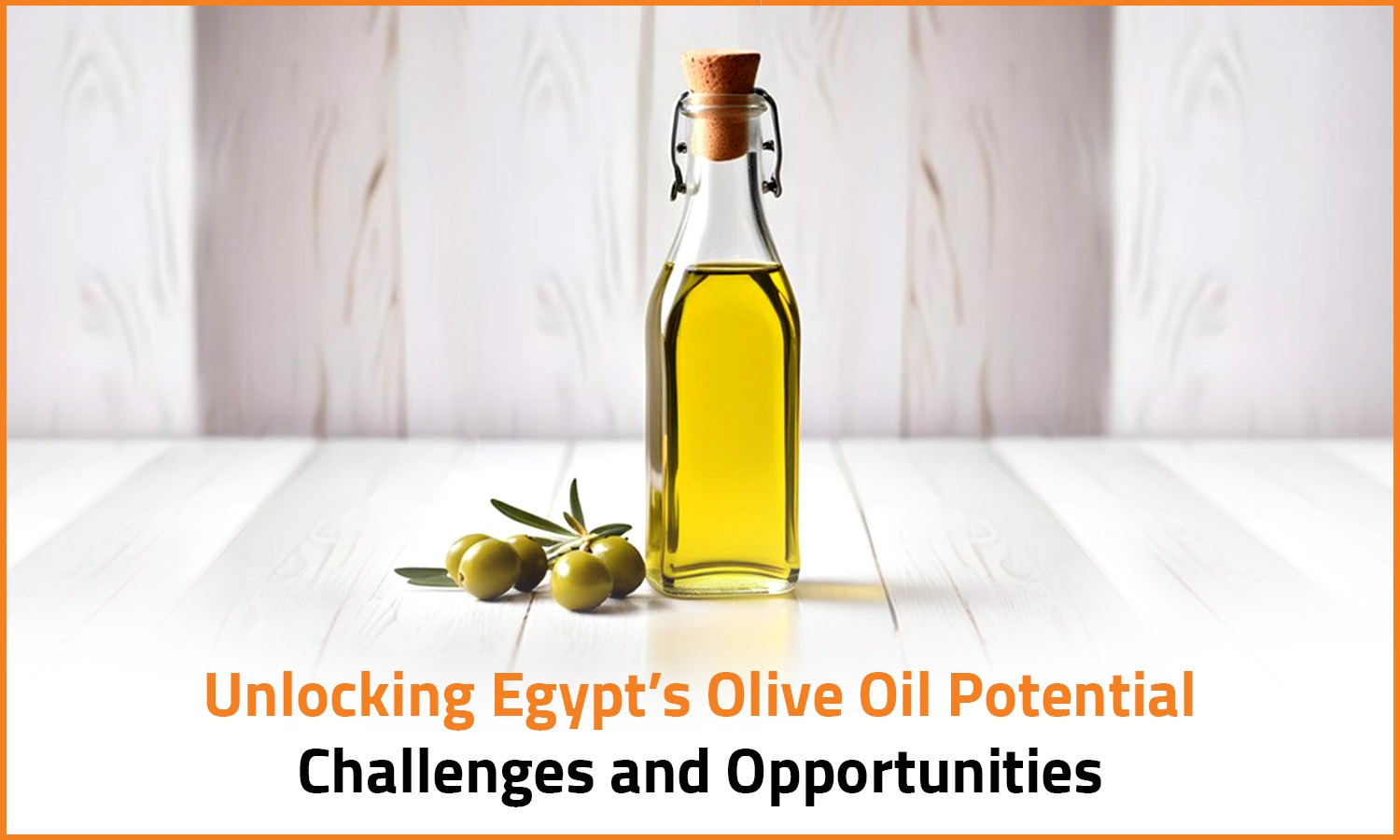 Unlocking Egypt’s Olive Oil Potential: Challenges and Opportunities